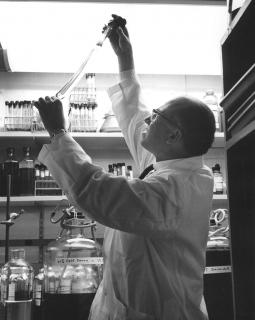 Jonas Salk in lab at the Salk Institute for Biological Studies, 1964